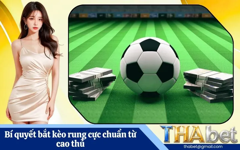 Bí quyết bắt kèo rung cực chuẩn từ cao thủ