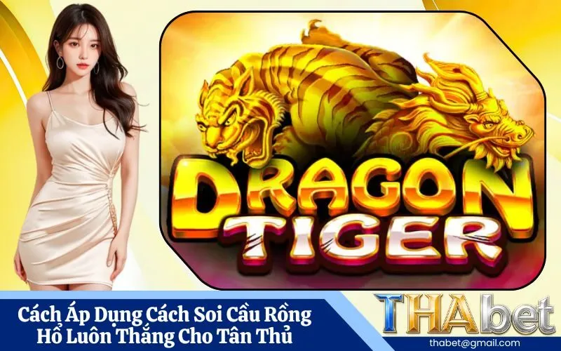 Cách Áp Dụng Cách Soi Cầu Rồng Hổ Luôn Thắng Cho Tân Thủ