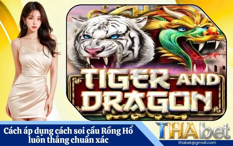 Cách áp dụng cách soi cầu Rồng Hổ luôn thắng chuẩn xác