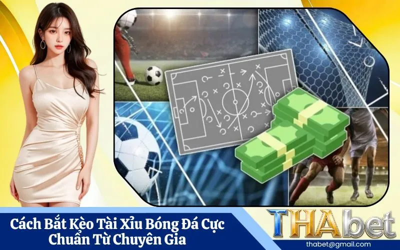 Cách Bắt Kèo Tài Xỉu Bóng Đá Cực Chuẩn Từ Chuyên Gia
