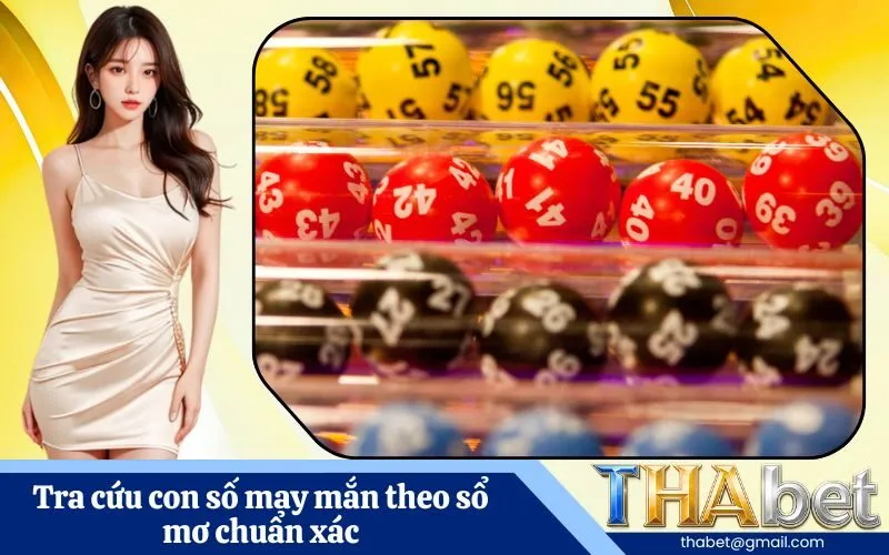 Tra cứu con số may mắn theo sổ mơ chuẩn xác